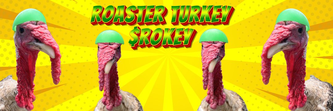 $Rokey Banner